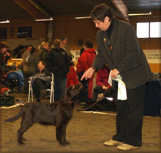 Tjottes Total Recall winning BOS Puppy at 4½ months